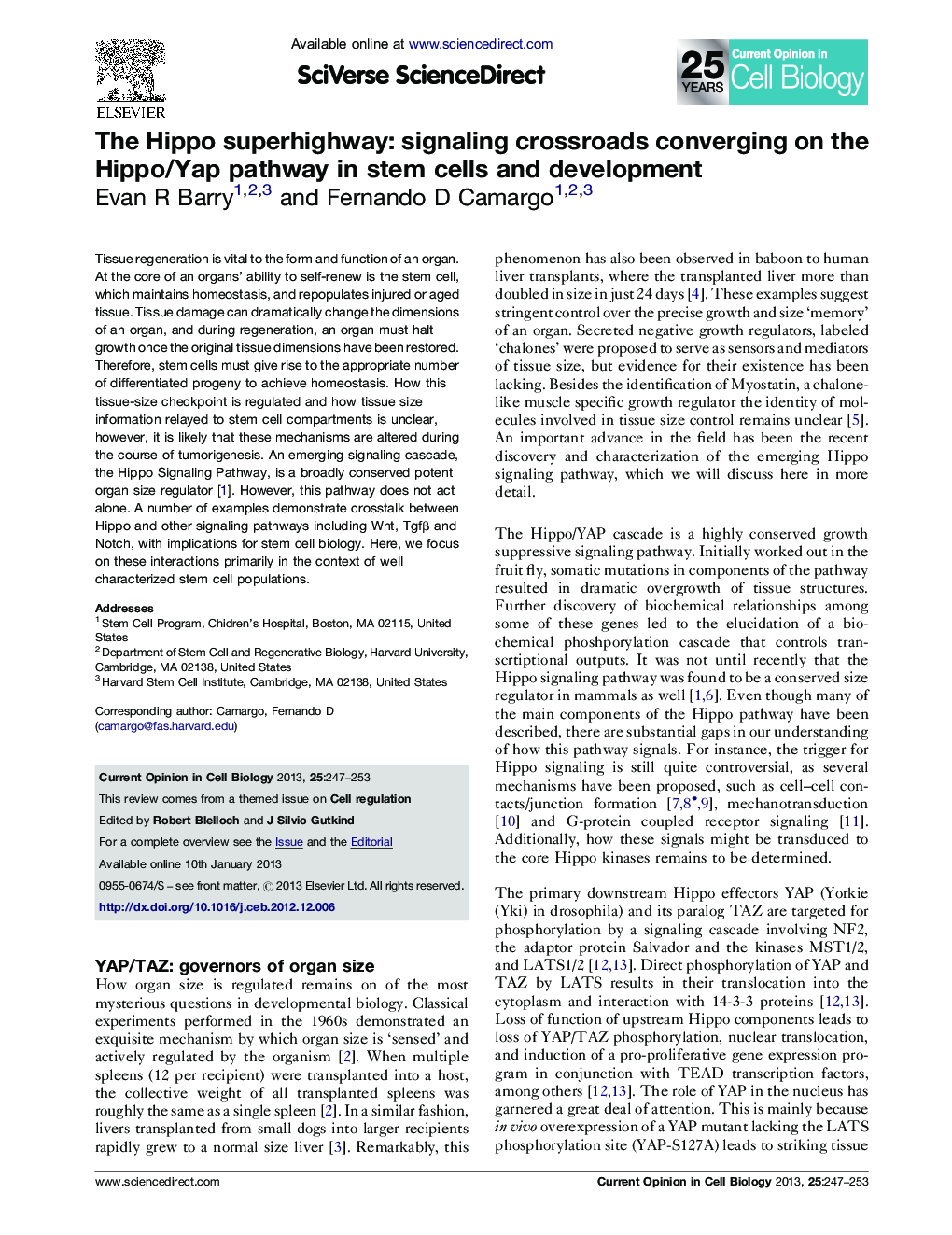 The Hippo superhighway: signaling crossroads converging on the Hippo/Yap pathway in stem cells and development