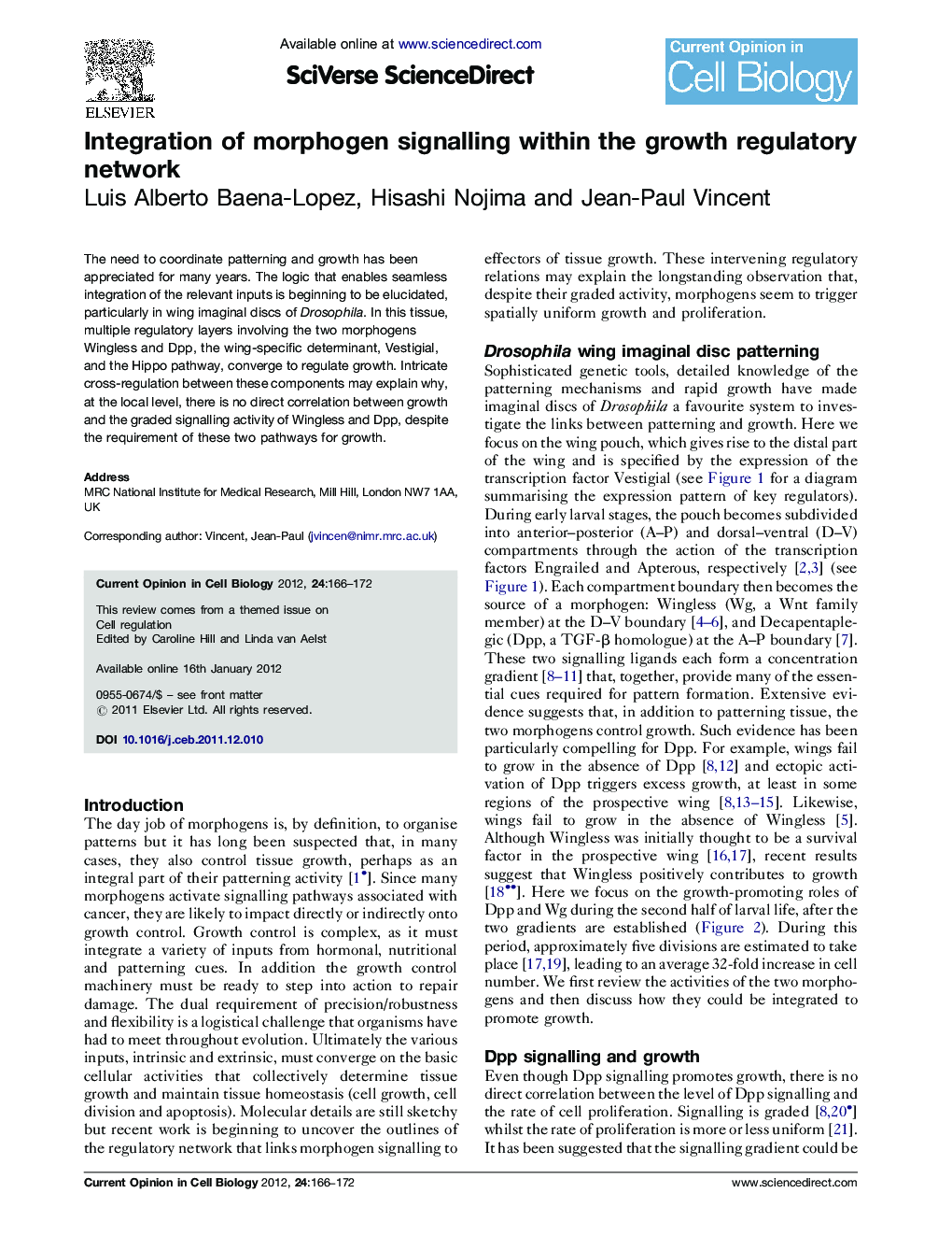 Integration of morphogen signalling within the growth regulatory network