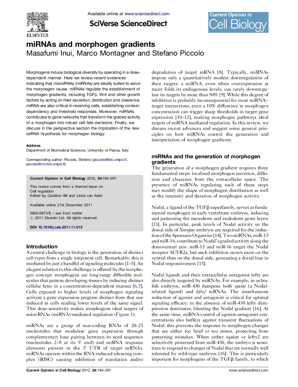 miRNAs and morphogen gradients