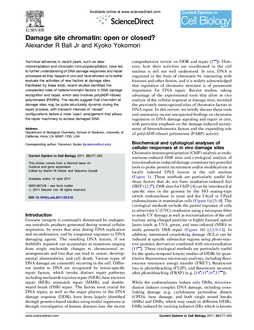Damage site chromatin: open or closed?