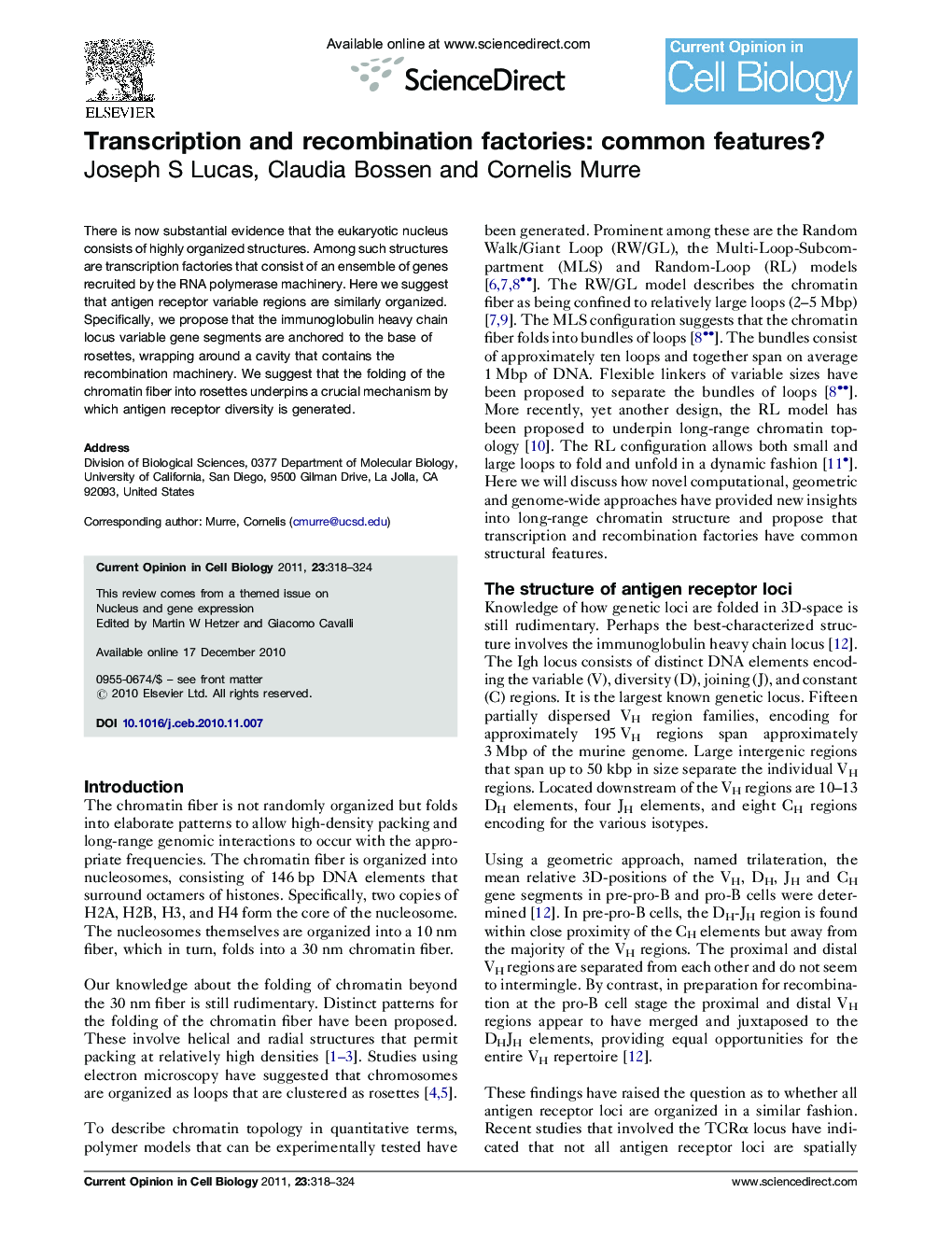 Transcription and recombination factories: common features?