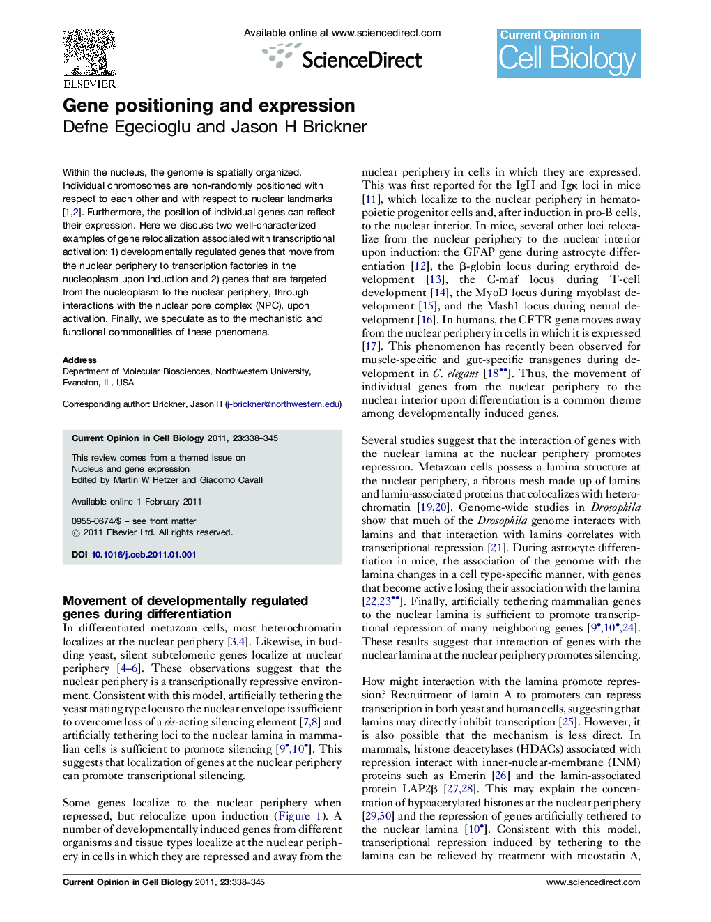 Gene positioning and expression