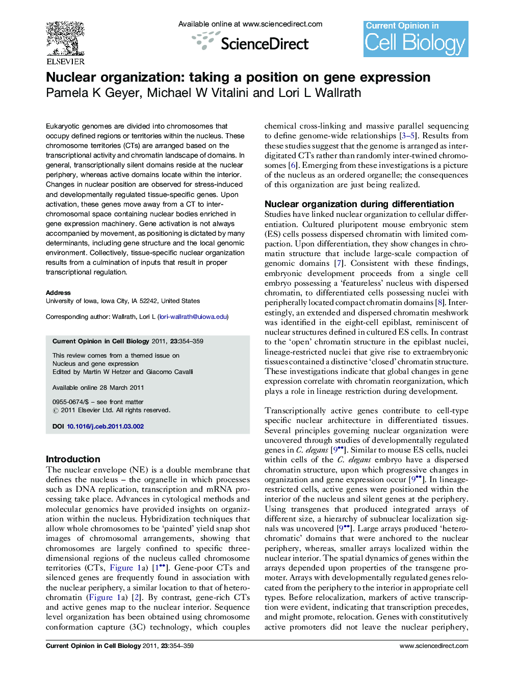 Nuclear organization: taking a position on gene expression