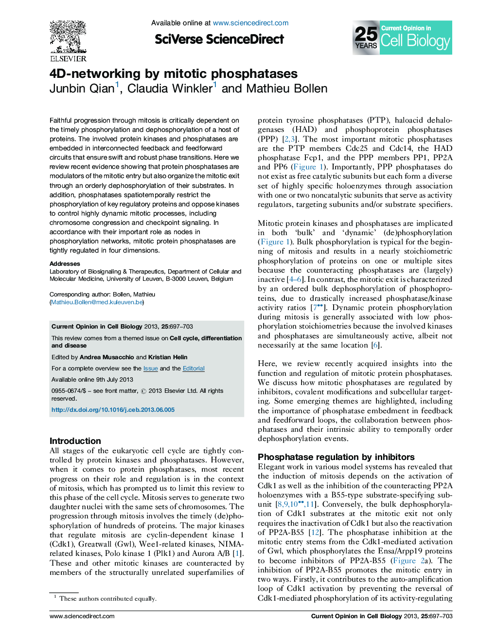 4D-networking by mitotic phosphatases