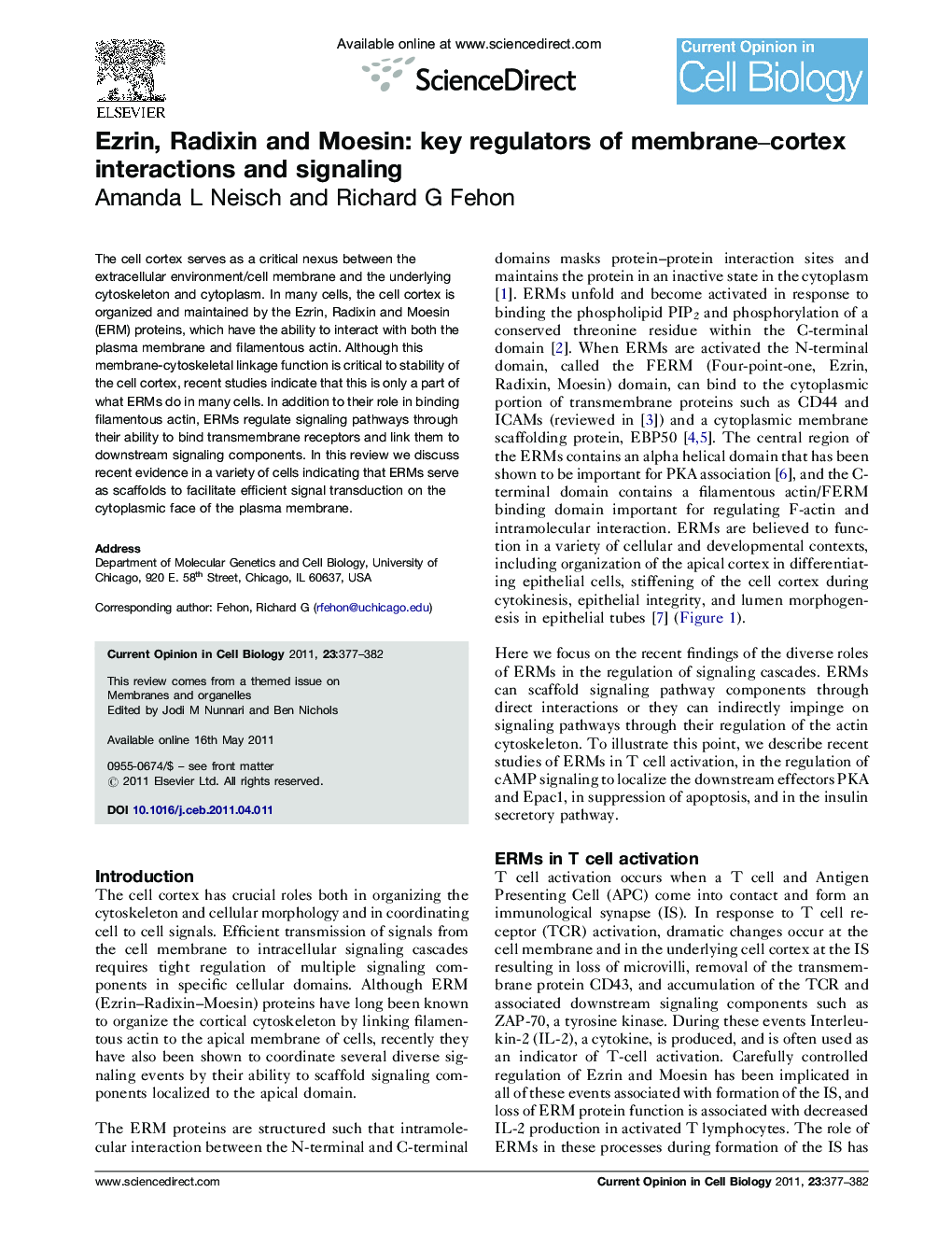 Ezrin, Radixin and Moesin: key regulators of membrane–cortex interactions and signaling