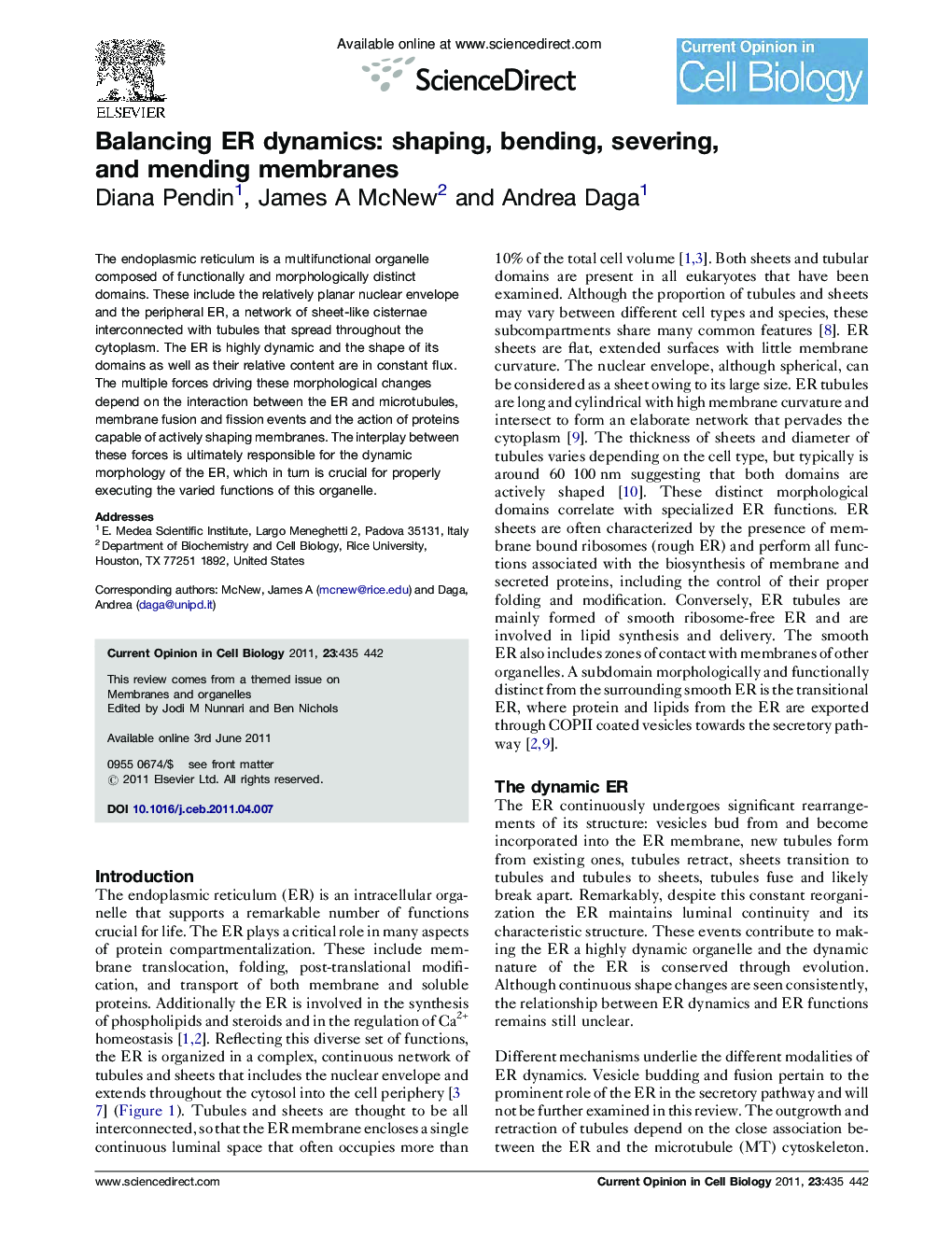 Balancing ER dynamics: shaping, bending, severing, and mending membranes