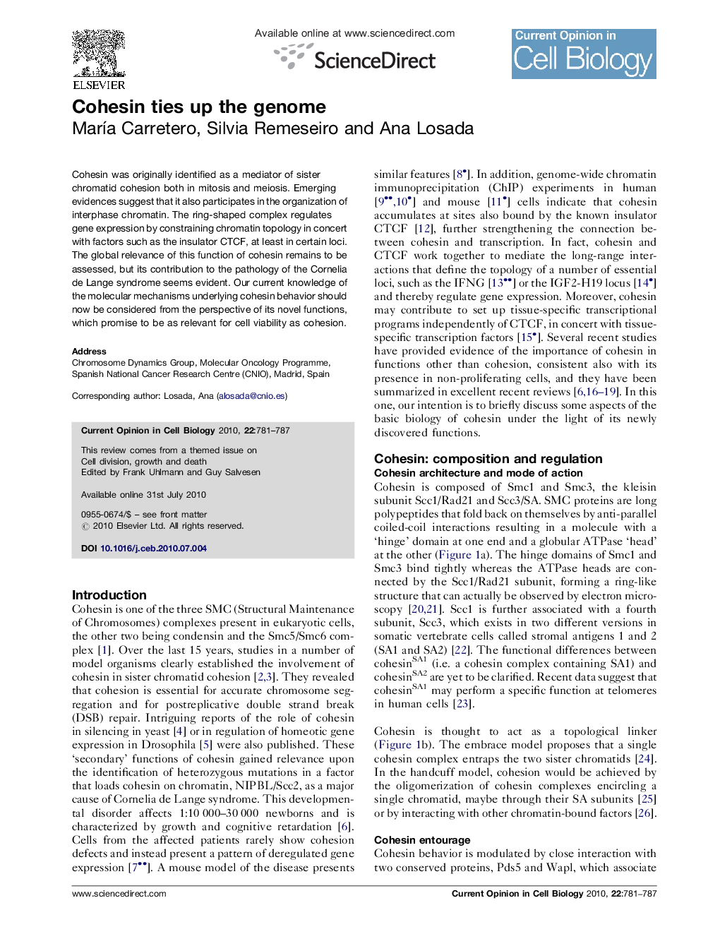 Cohesin ties up the genome