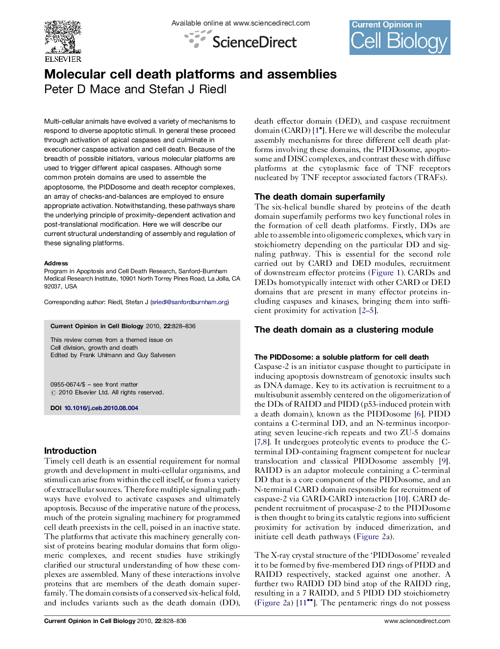 Molecular cell death platforms and assemblies