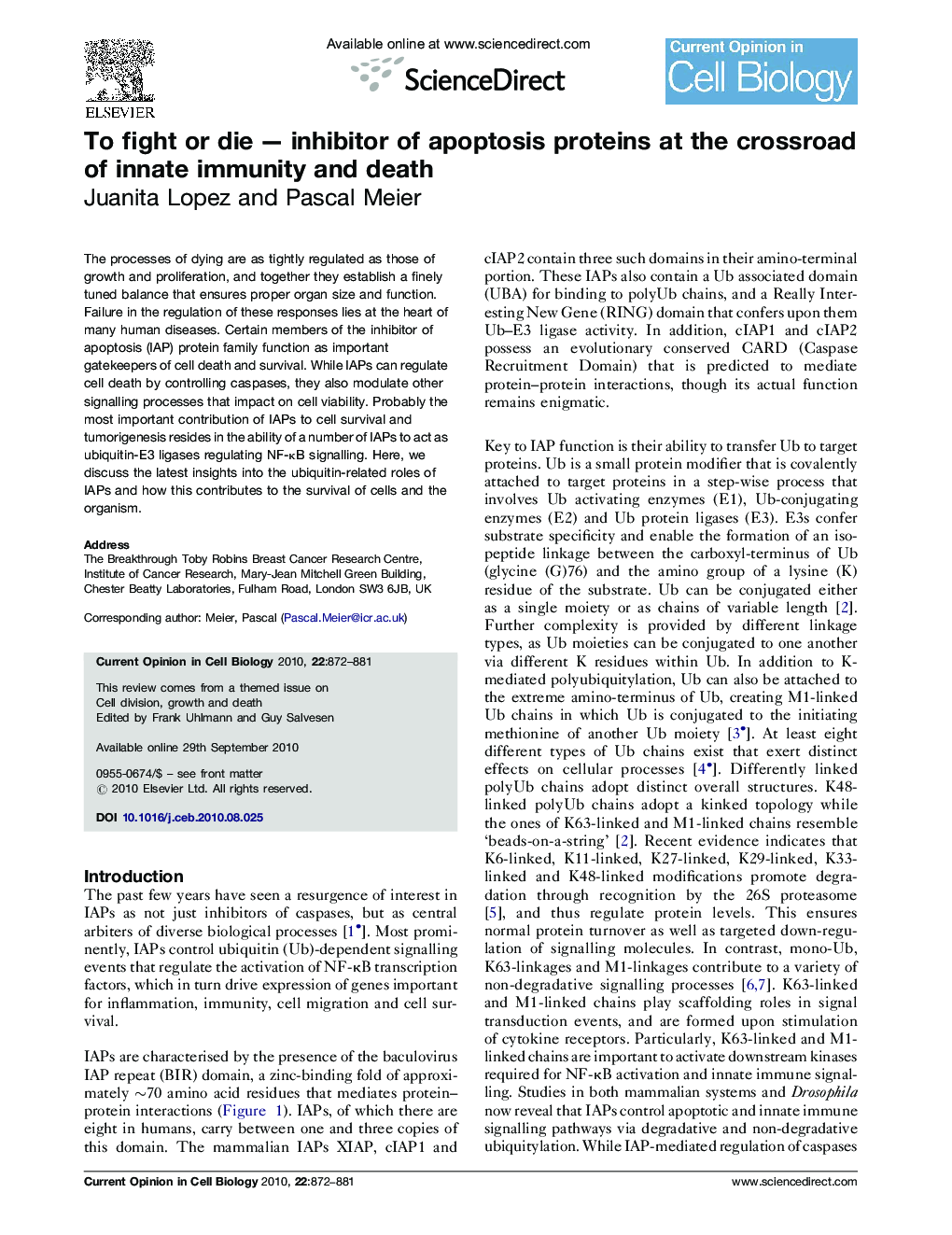 To fight or die — inhibitor of apoptosis proteins at the crossroad of innate immunity and death