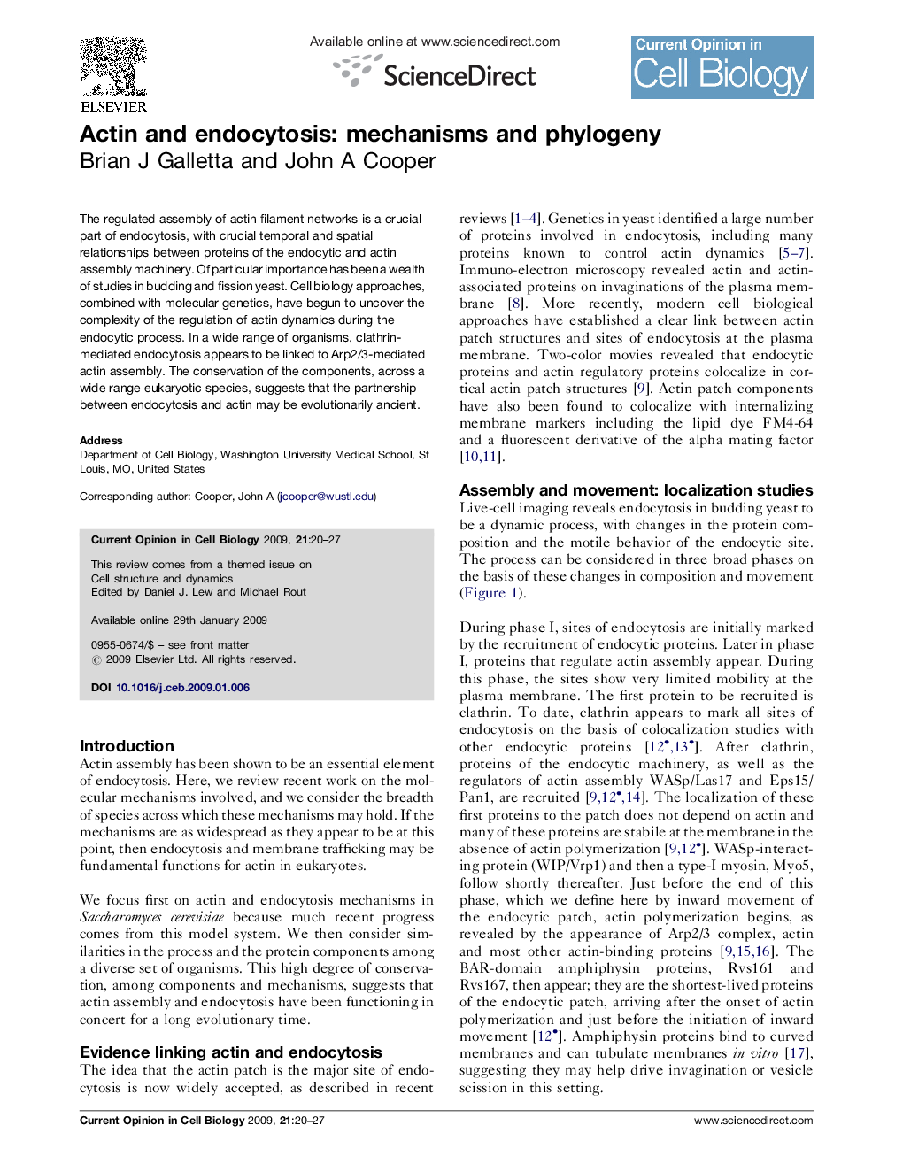 Actin and endocytosis: mechanisms and phylogeny