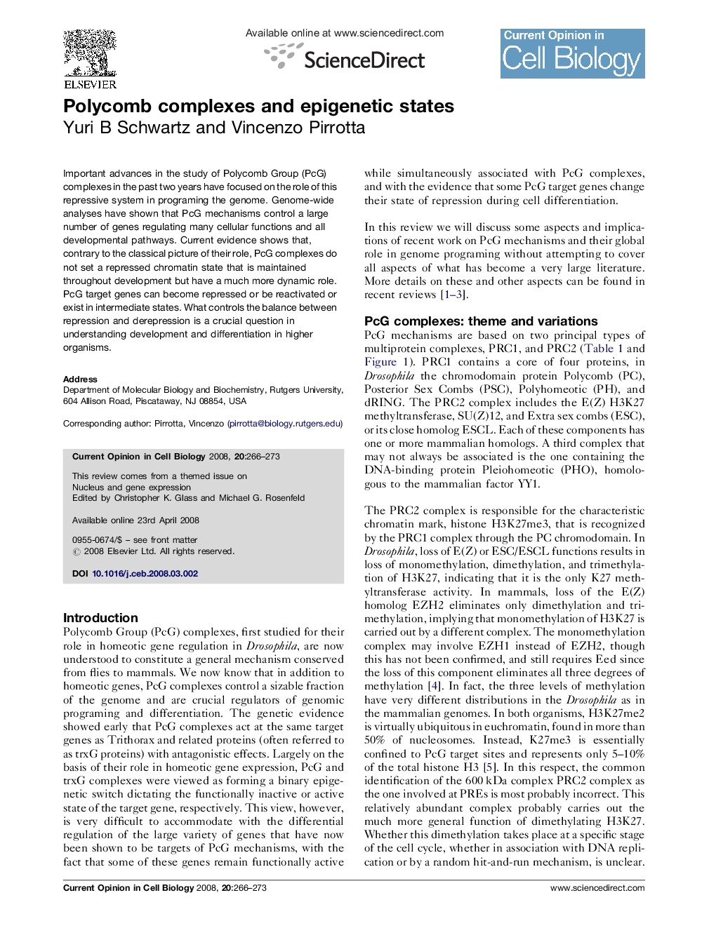 Polycomb complexes and epigenetic states