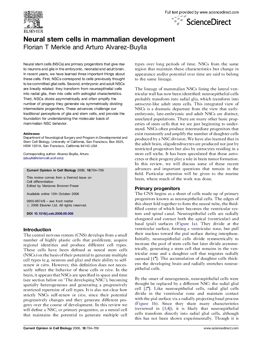 Neural stem cells in mammalian development