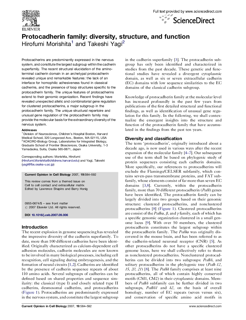 Protocadherin family: diversity, structure, and function
