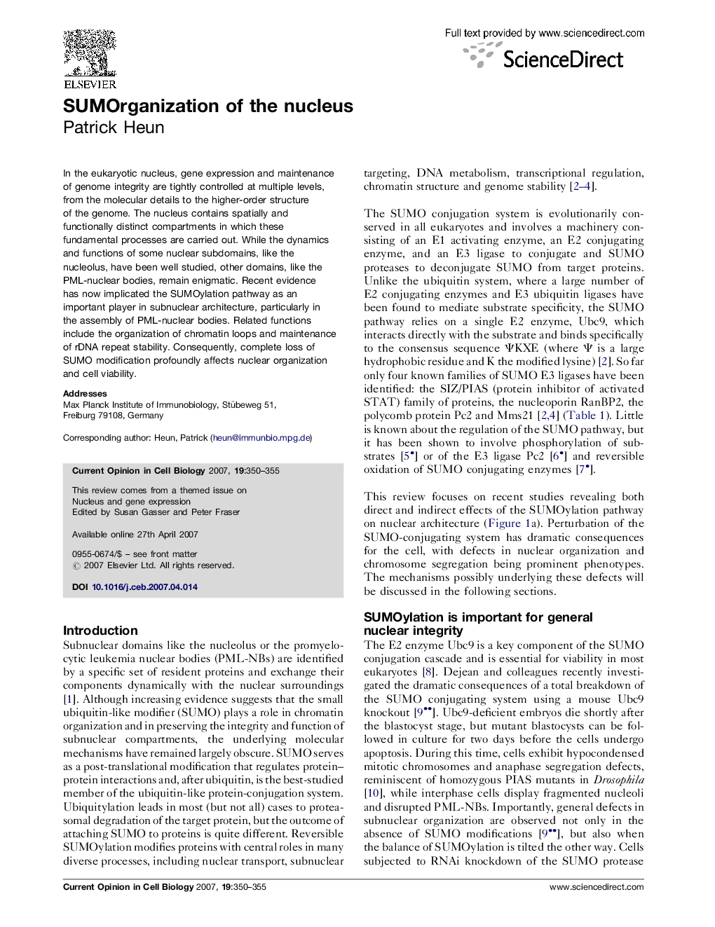 SUMOrganization of the nucleus