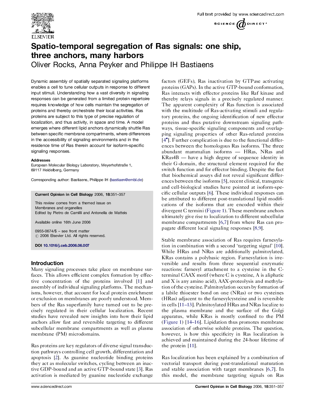 Spatio-temporal segregation of Ras signals: one ship, three anchors, many harbors