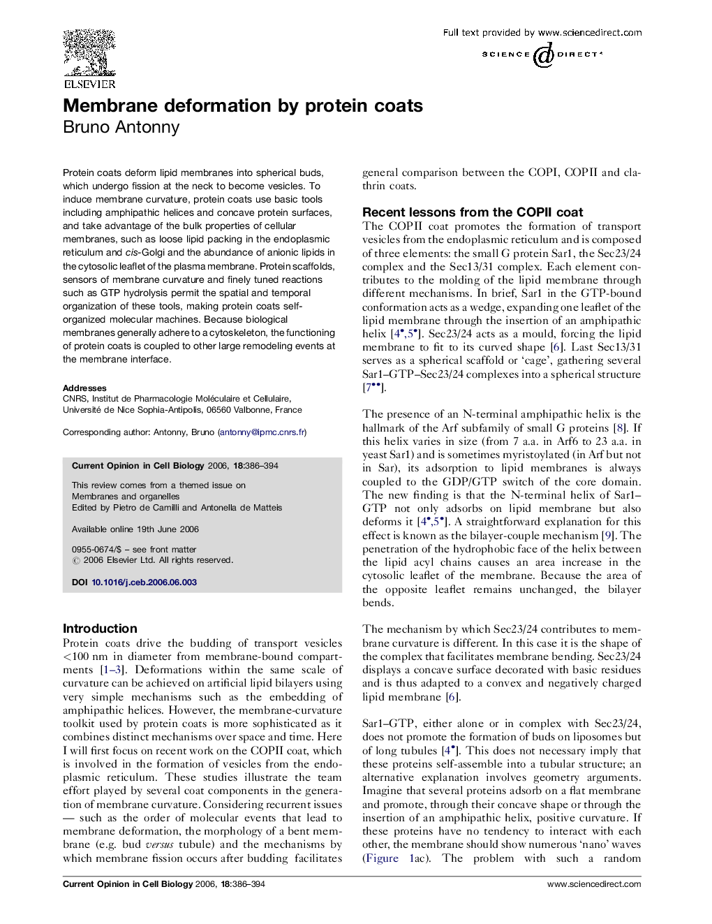 Membrane deformation by protein coats