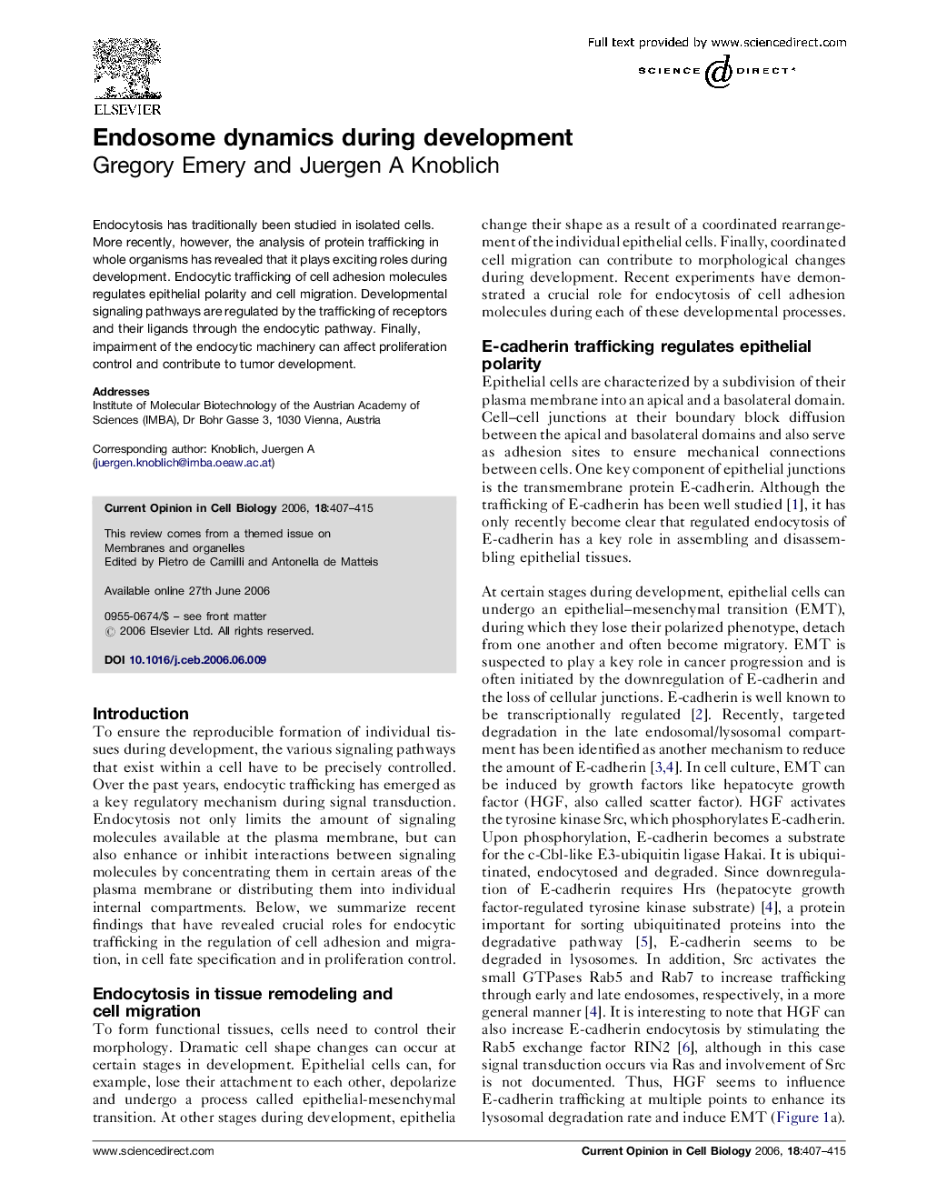 Endosome dynamics during development