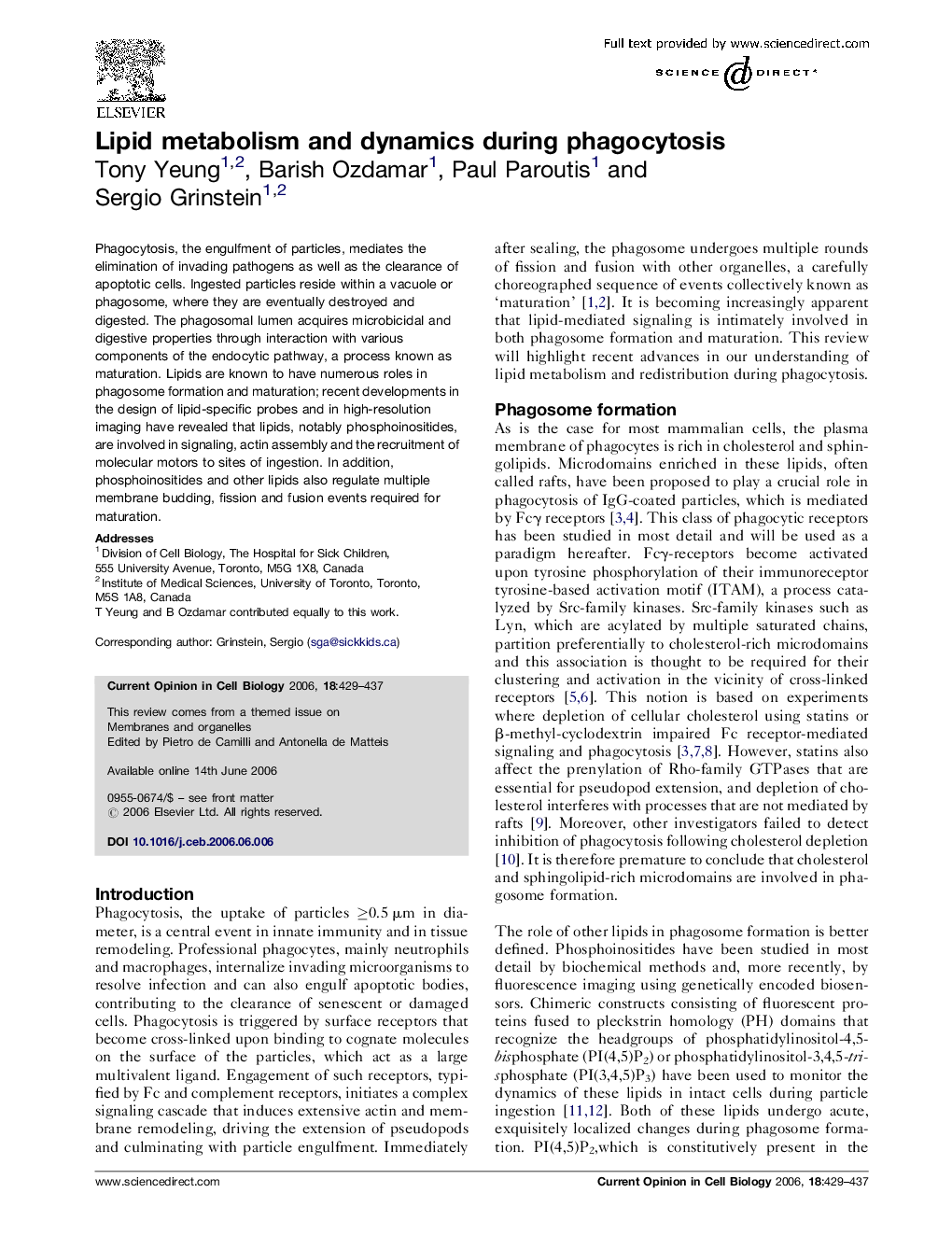 Lipid metabolism and dynamics during phagocytosis