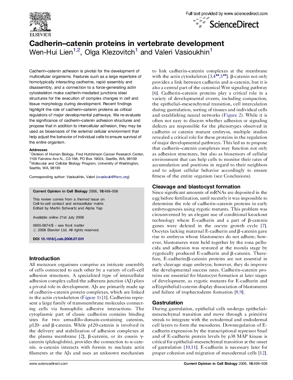 Cadherin–catenin proteins in vertebrate development