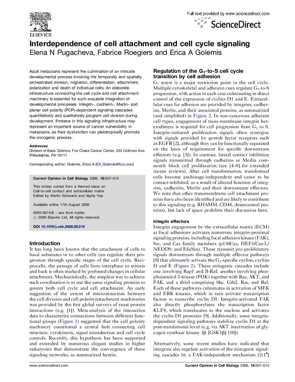 Interdependence of cell attachment and cell cycle signaling