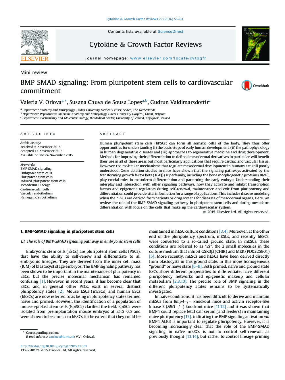 BMP-SMAD signaling: From pluripotent stem cells to cardiovascular commitment