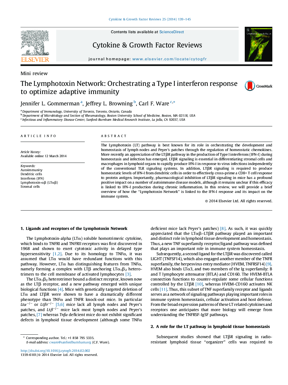 The Lymphotoxin Network: Orchestrating a Type I interferon response to optimize adaptive immunity