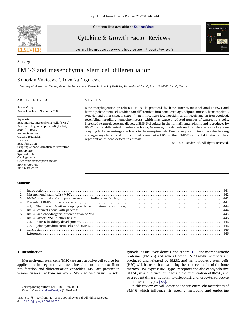 BMP-6 and mesenchymal stem cell differentiation