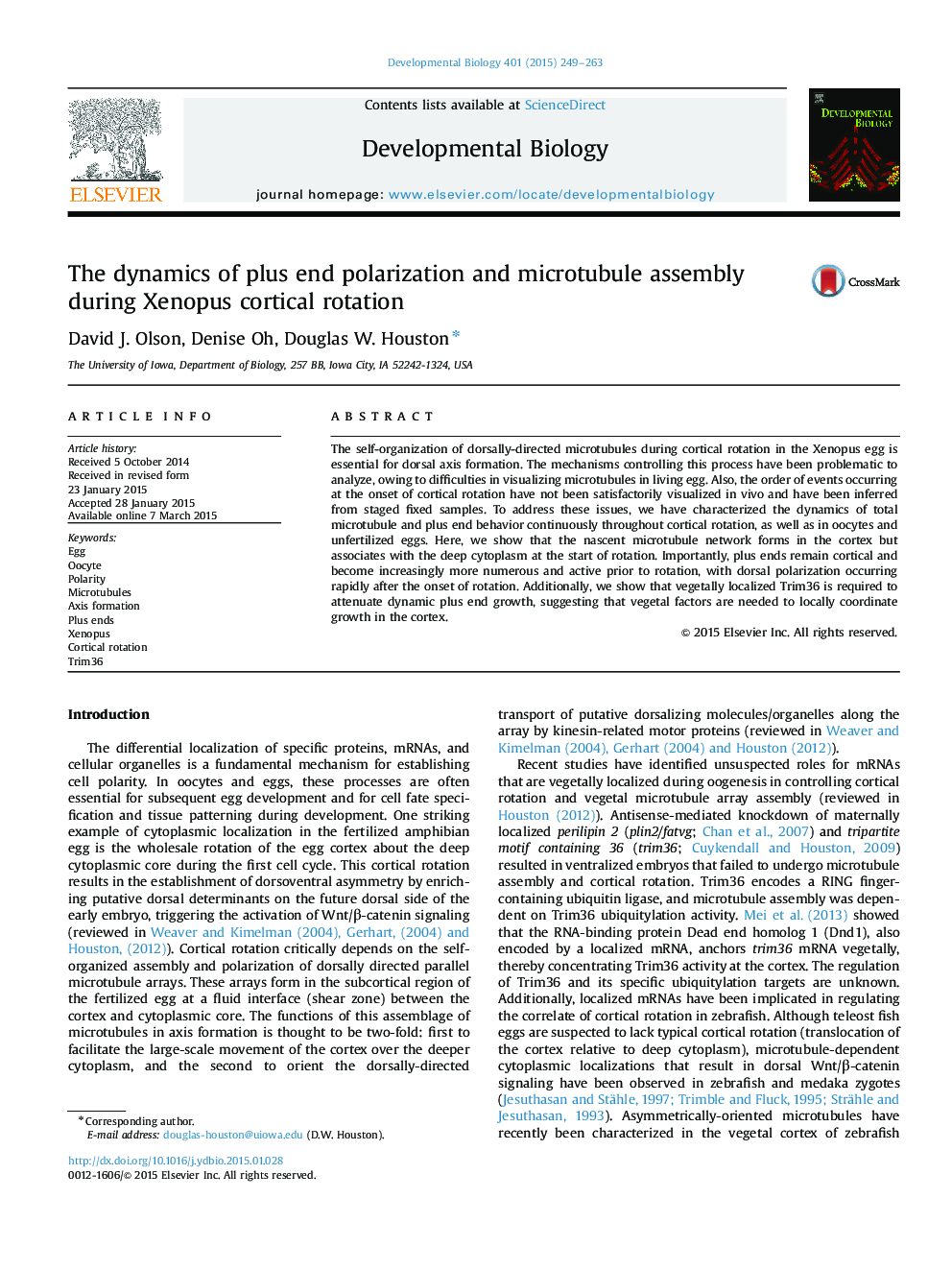 The dynamics of plus end polarization and microtubule assembly during Xenopus cortical rotation