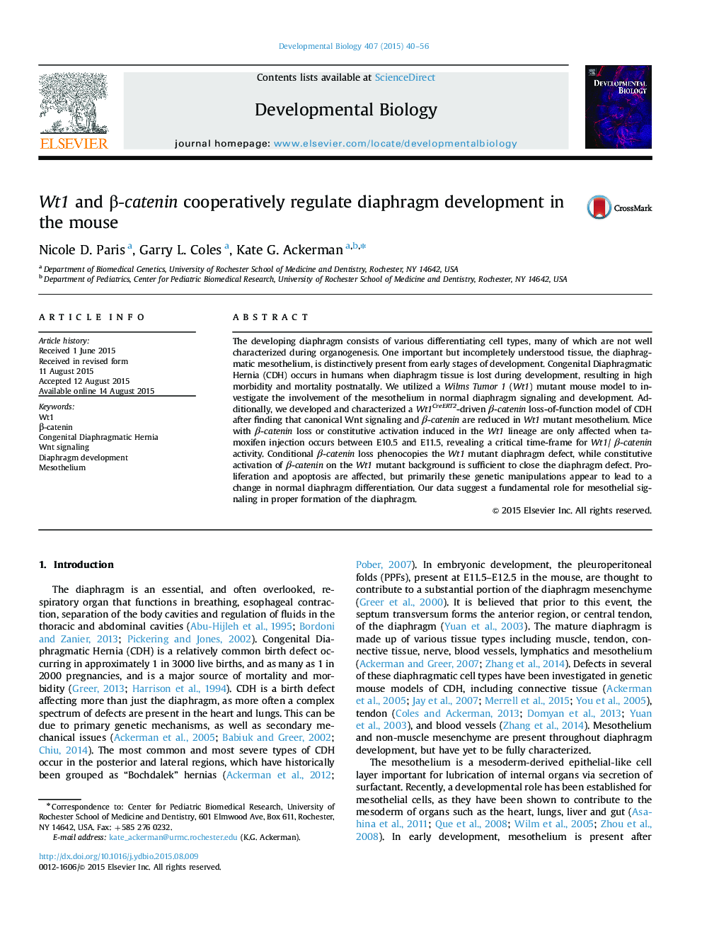 Wt1 and β-catenin cooperatively regulate diaphragm development in the mouse