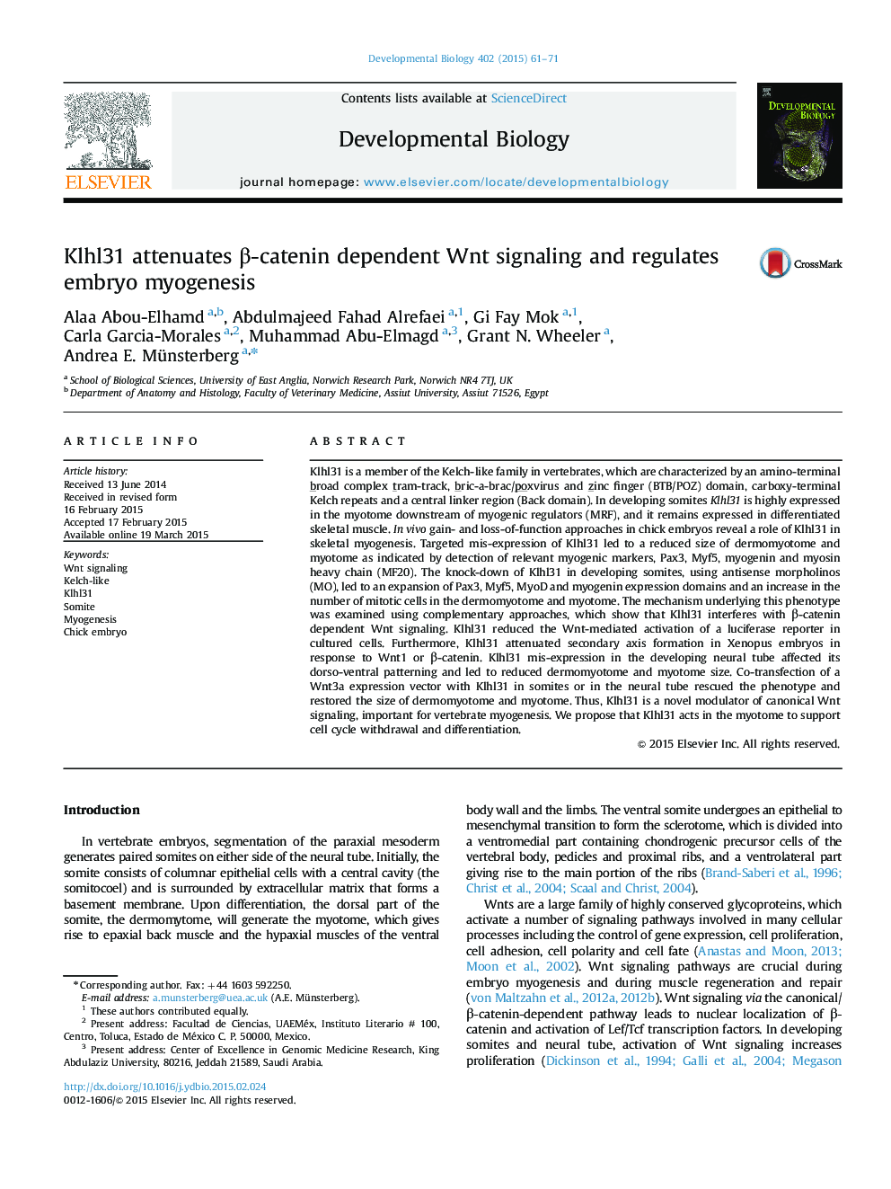 Klhl31 attenuates β-catenin dependent Wnt signaling and regulates embryo myogenesis