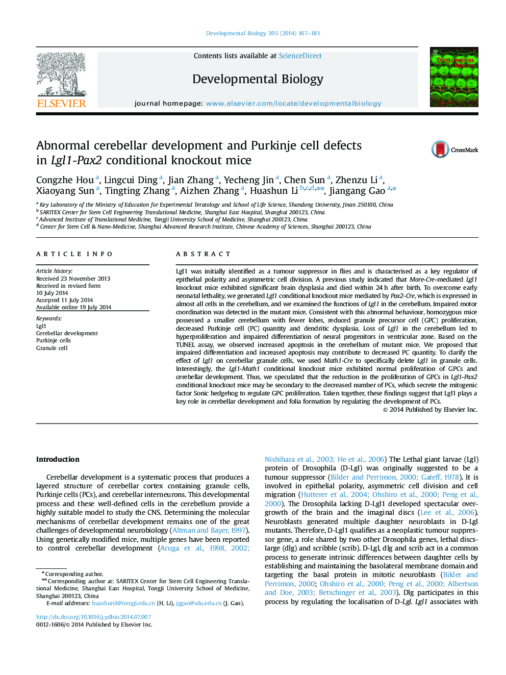 Abnormal cerebellar development and Purkinje cell defects in Lgl1-Pax2 conditional knockout mice