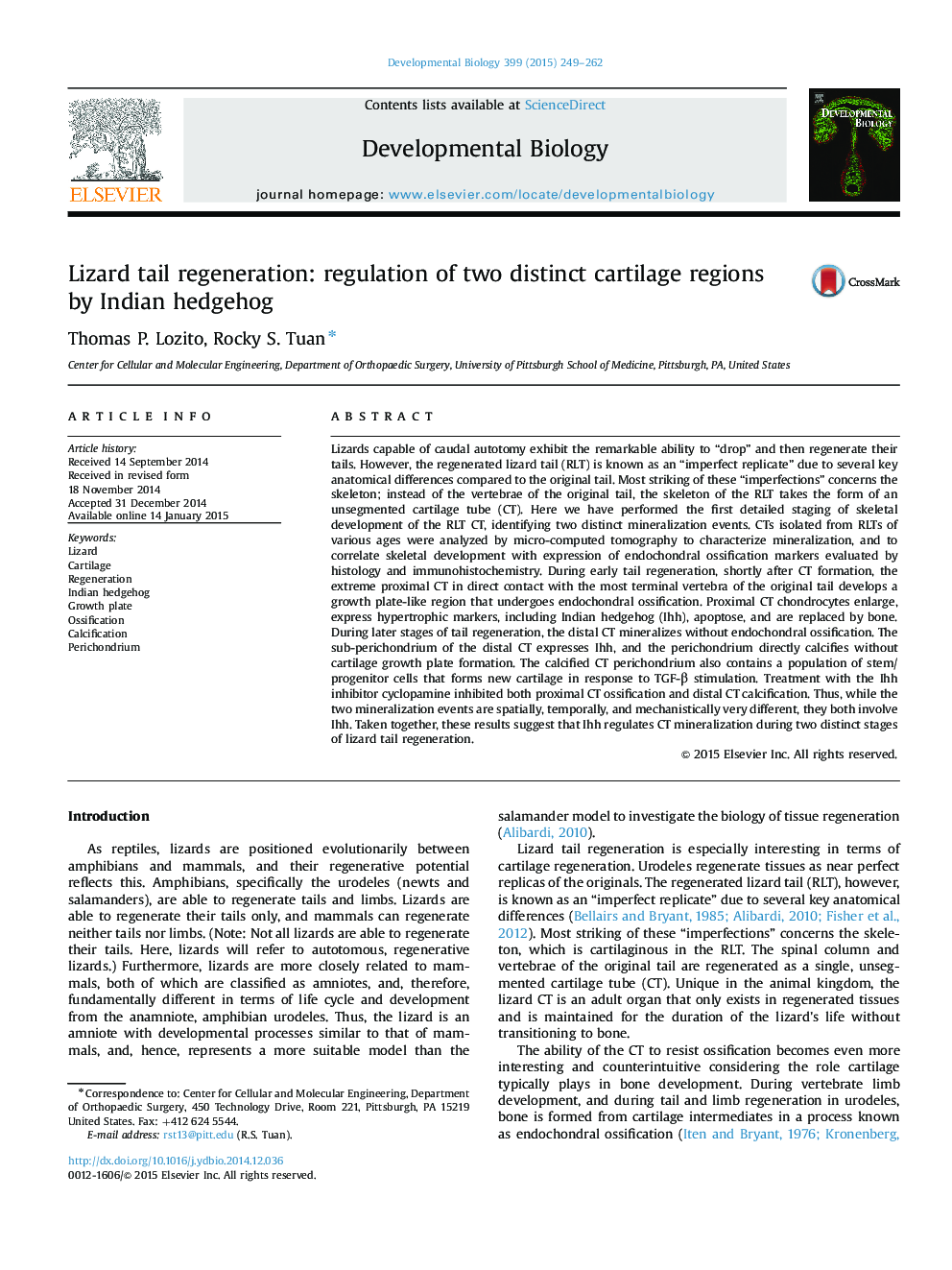 Lizard tail regeneration: regulation of two distinct cartilage regions by Indian hedgehog