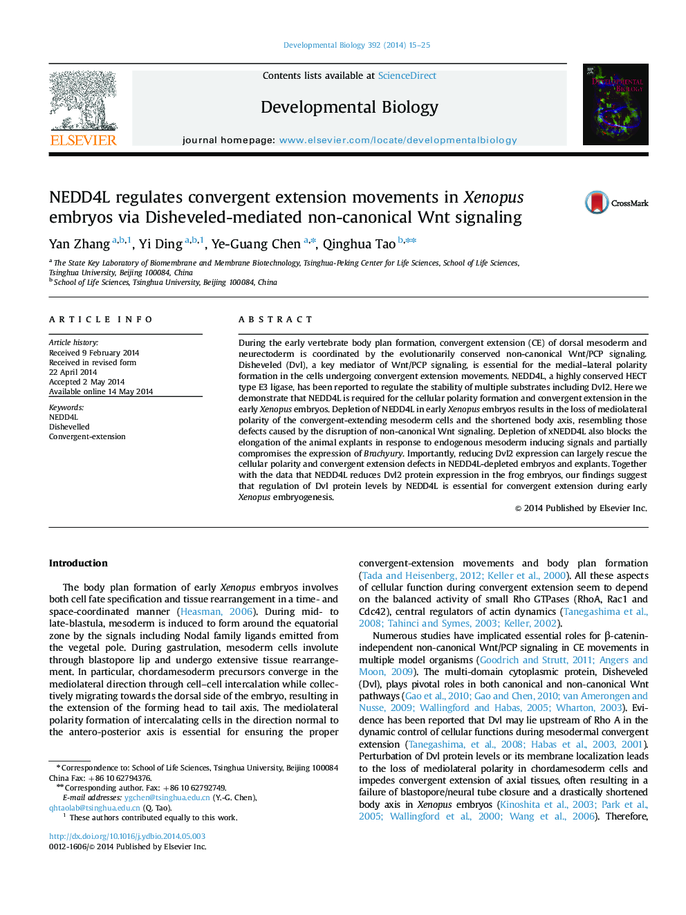 NEDD4L regulates convergent extension movements in Xenopus embryos via Disheveled-mediated non-canonical Wnt signaling