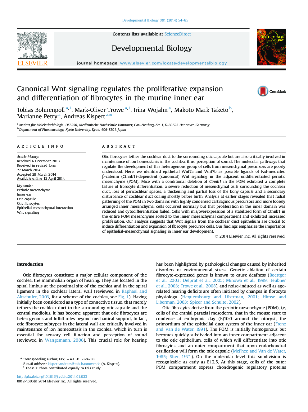 Canonical Wnt signaling regulates the proliferative expansion and differentiation of fibrocytes in the murine inner ear