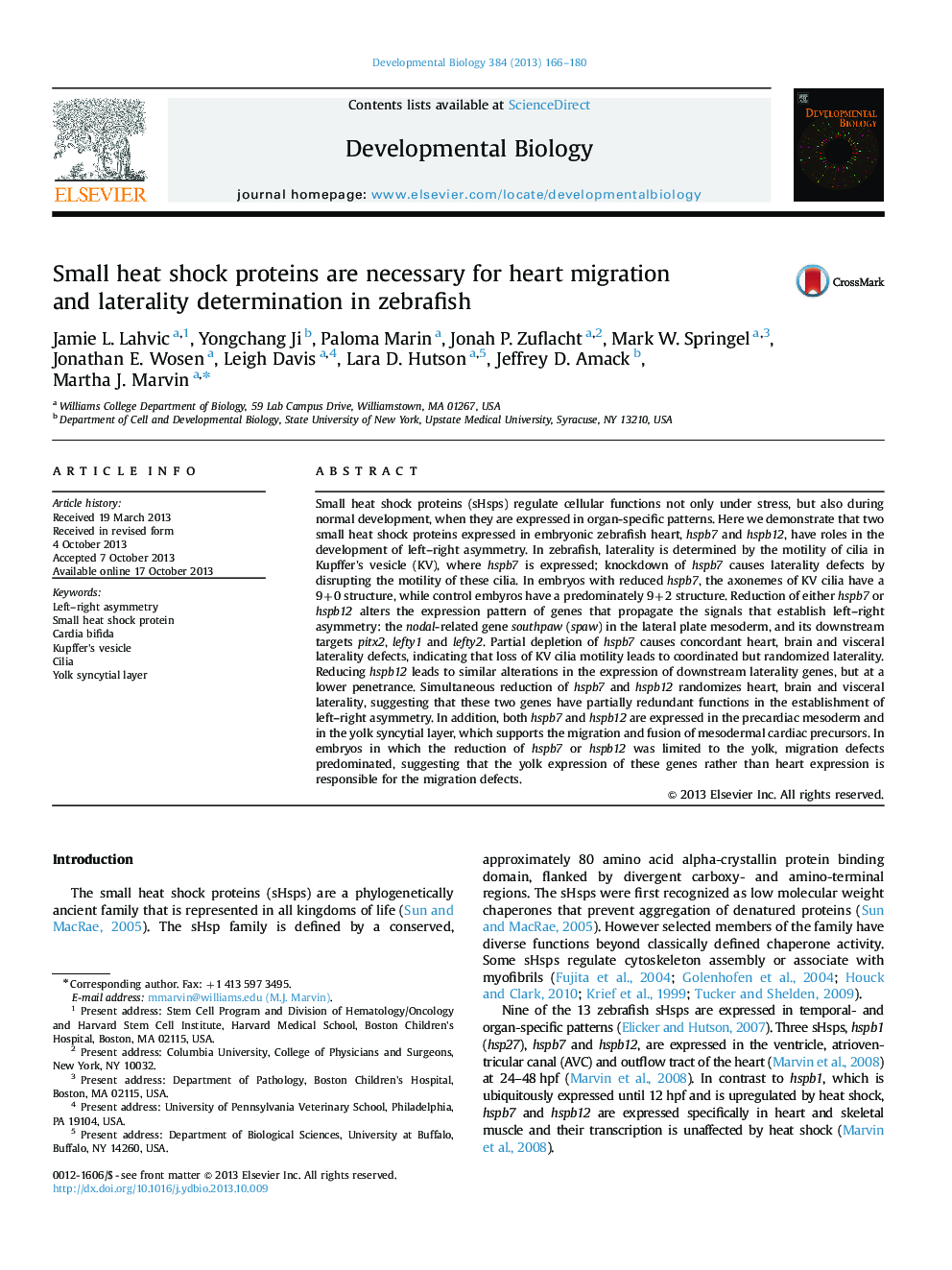 Small heat shock proteins are necessary for heart migration and laterality determination in zebrafish