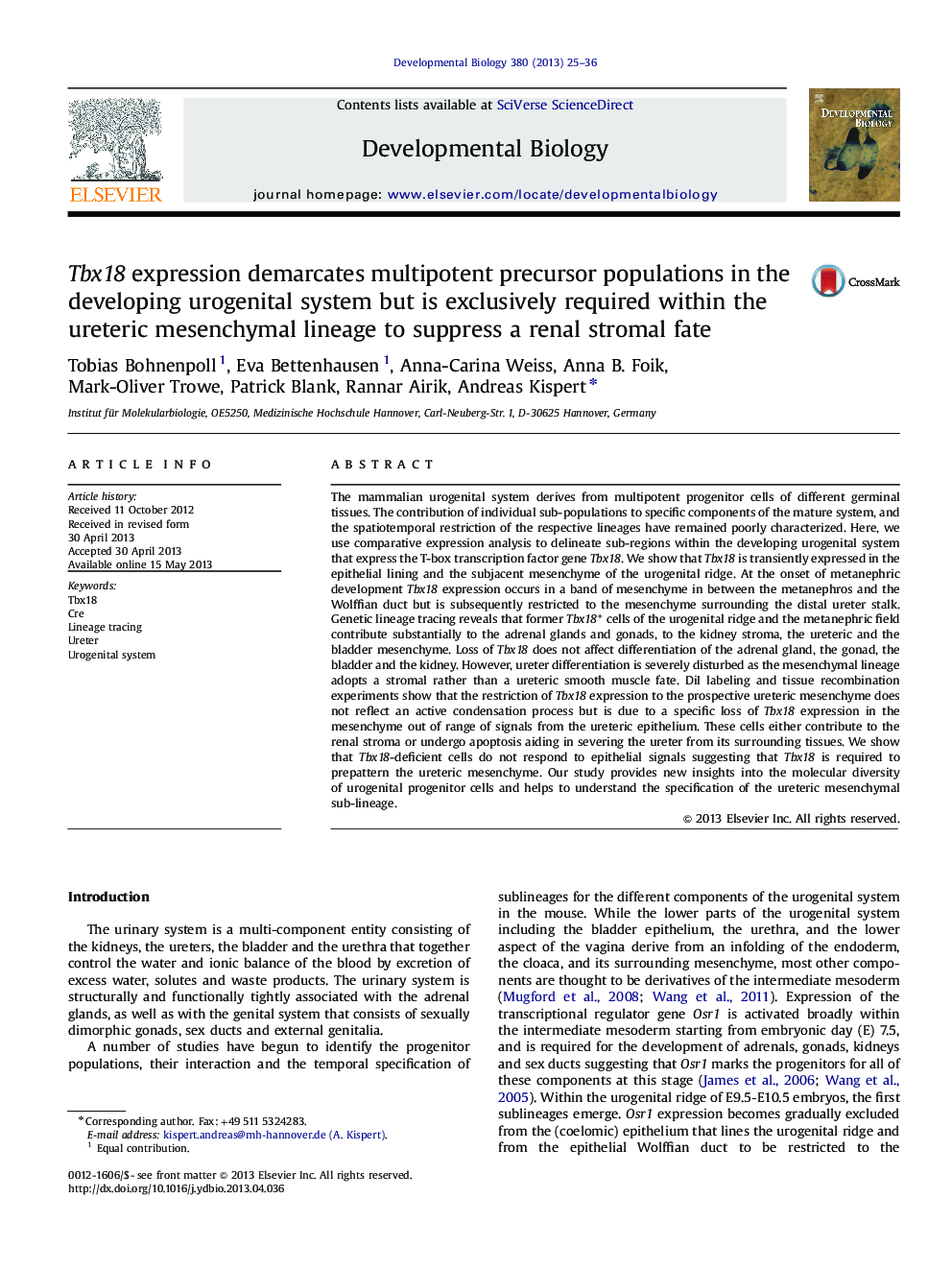 Tbx18 expression demarcates multipotent precursor populations in the developing urogenital system but is exclusively required within the ureteric mesenchymal lineage to suppress a renal stromal fate