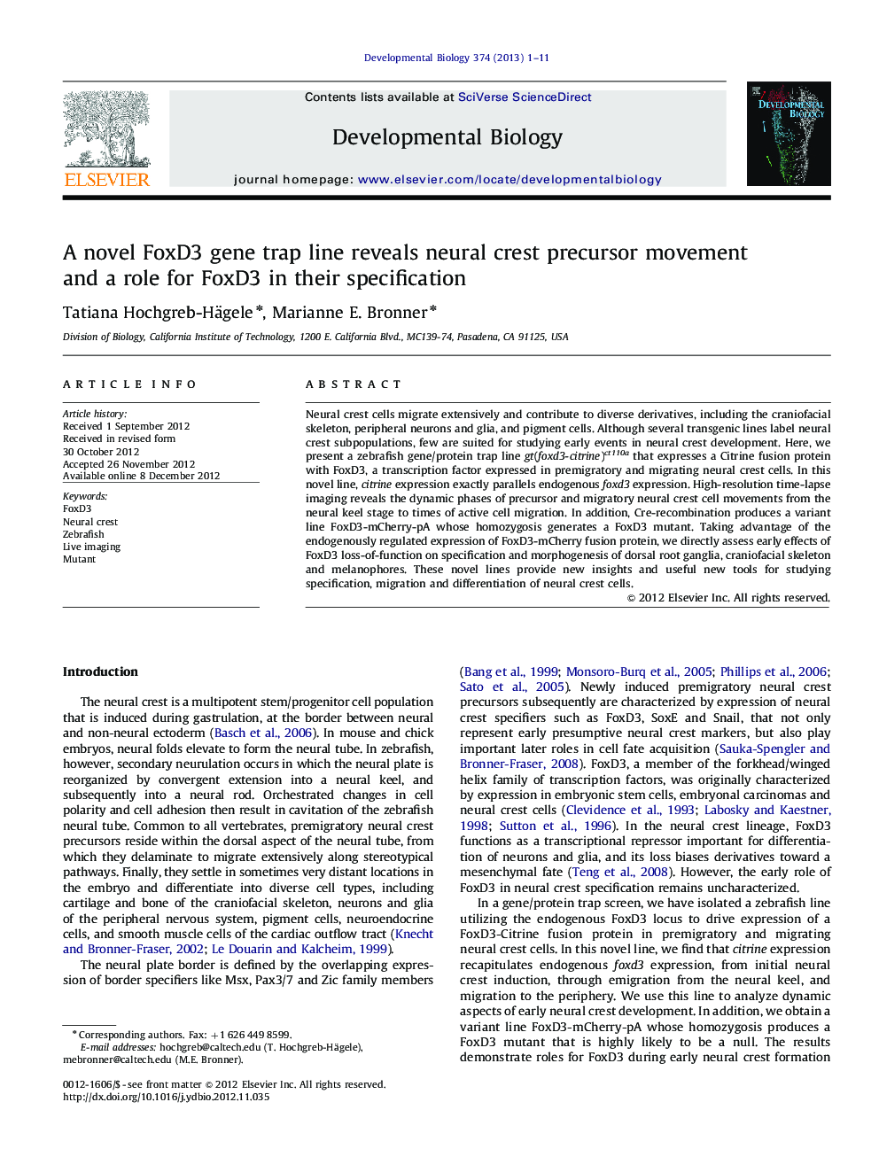 A novel FoxD3 gene trap line reveals neural crest precursor movement and a role for FoxD3 in their specification