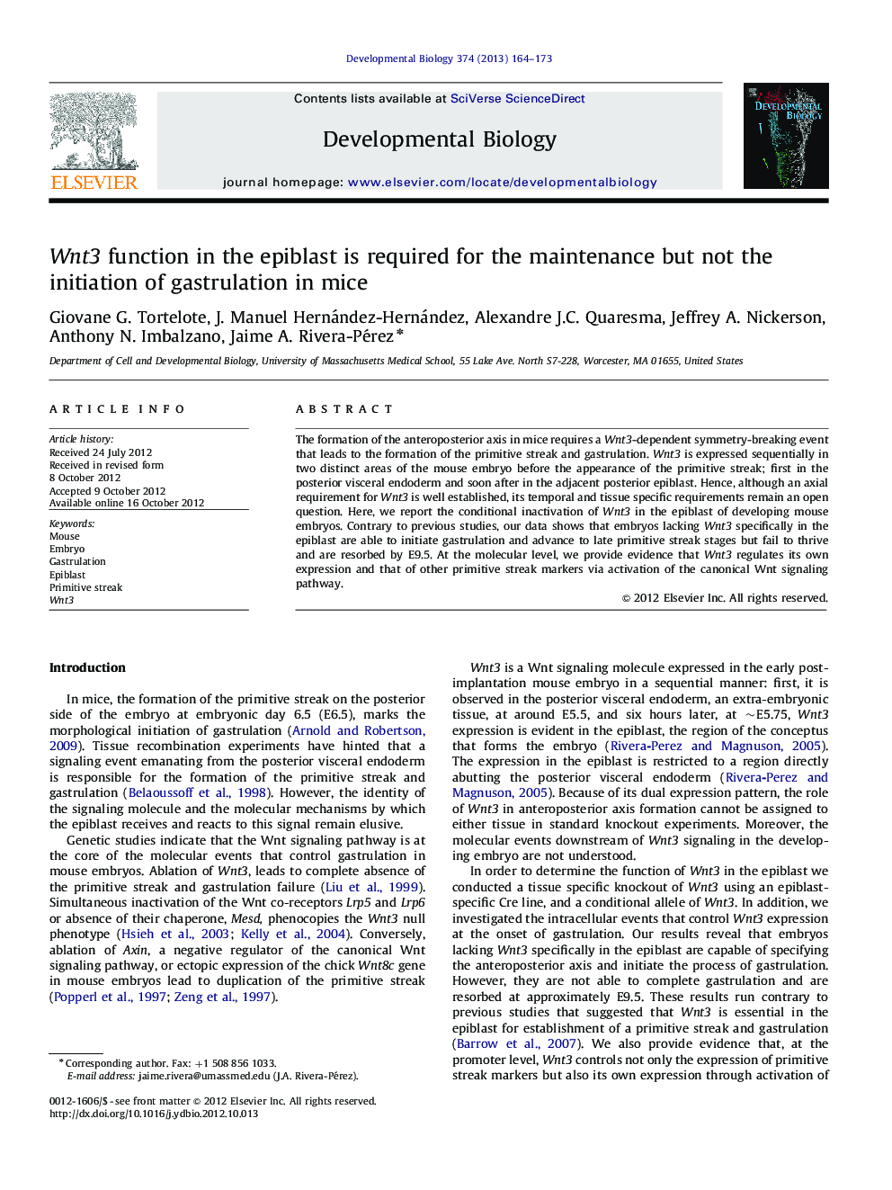 Wnt3 function in the epiblast is required for the maintenance but not the initiation of gastrulation in mice