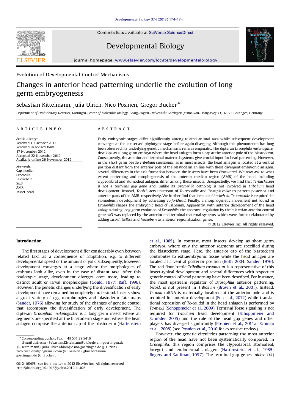 Changes in anterior head patterning underlie the evolution of long germ embryogenesis