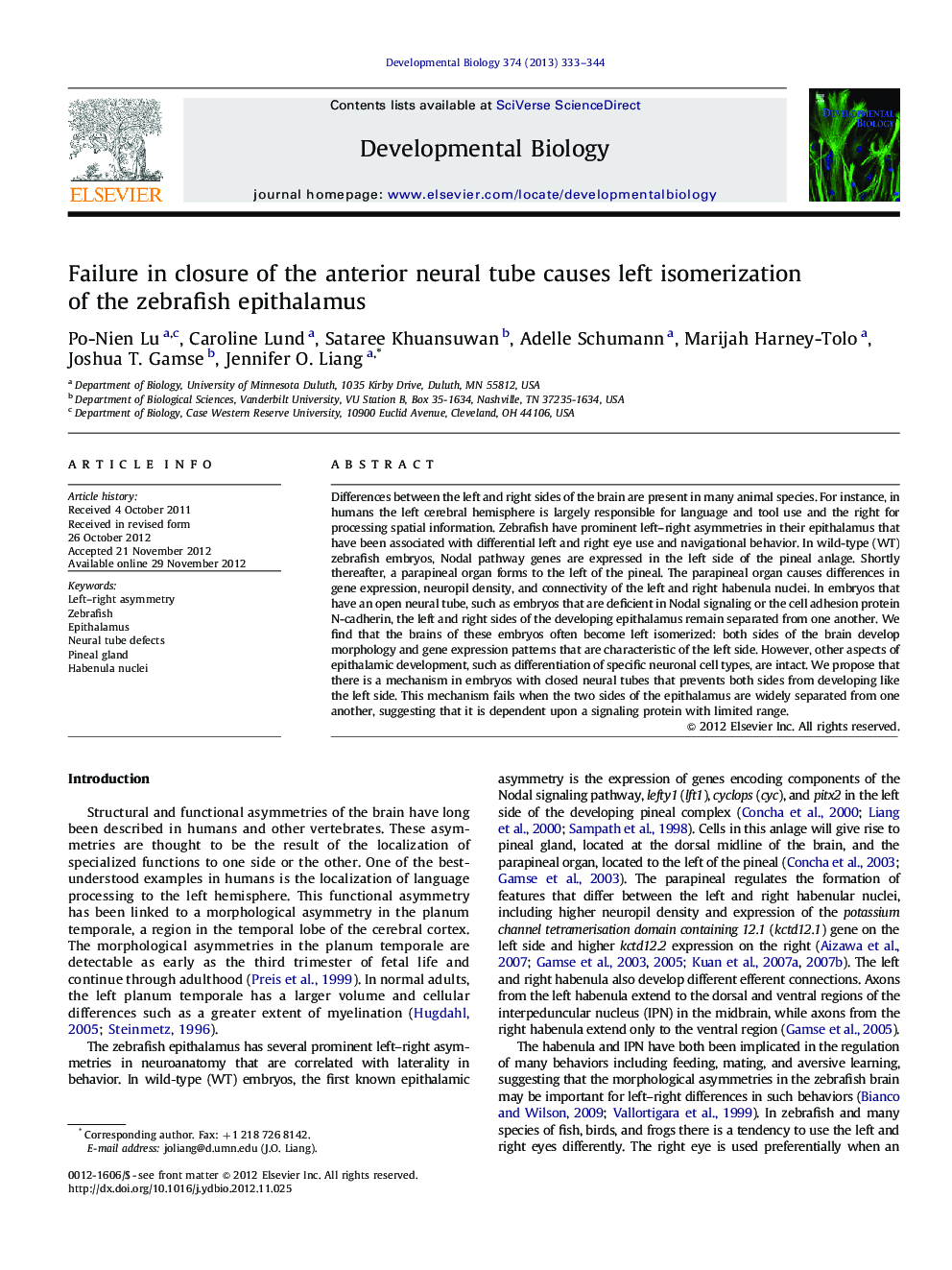 Failure in closure of the anterior neural tube causes left isomerization of the zebrafish epithalamus