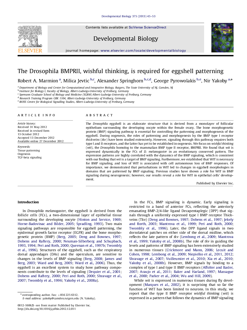 The Drosophila BMPRII, wishful thinking, is required for eggshell patterning