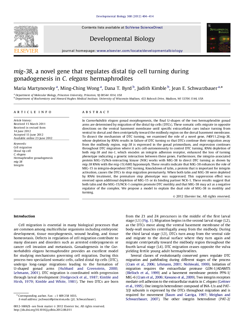 mig-38, a novel gene that regulates distal tip cell turning during gonadogenesis in C. elegans hermaphrodites