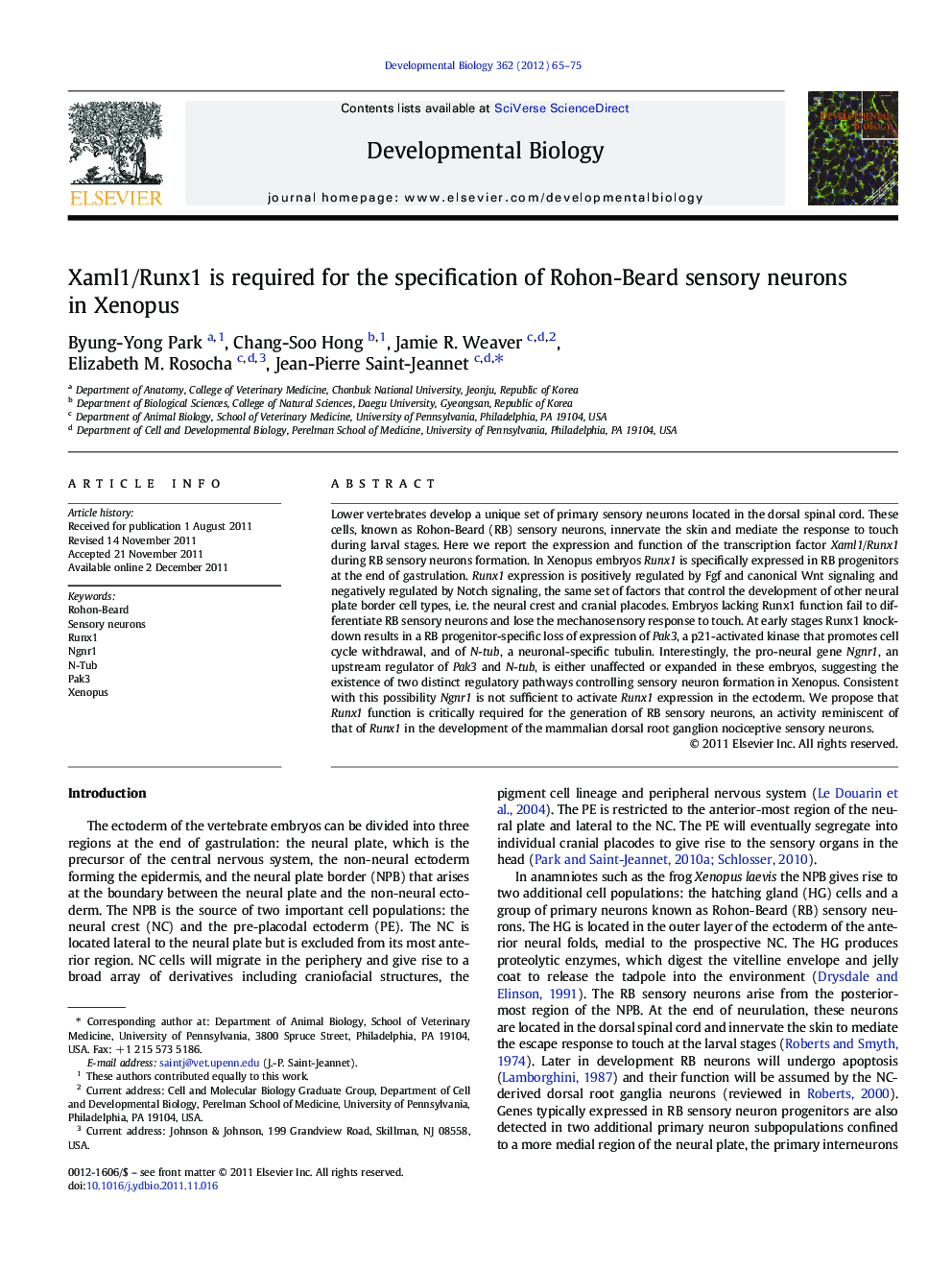 Xaml1/Runx1 is required for the specification of Rohon-Beard sensory neurons in Xenopus