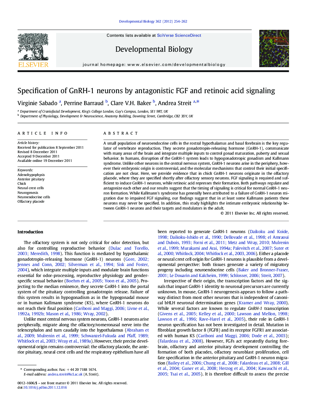 Specification of GnRH-1 neurons by antagonistic FGF and retinoic acid signaling