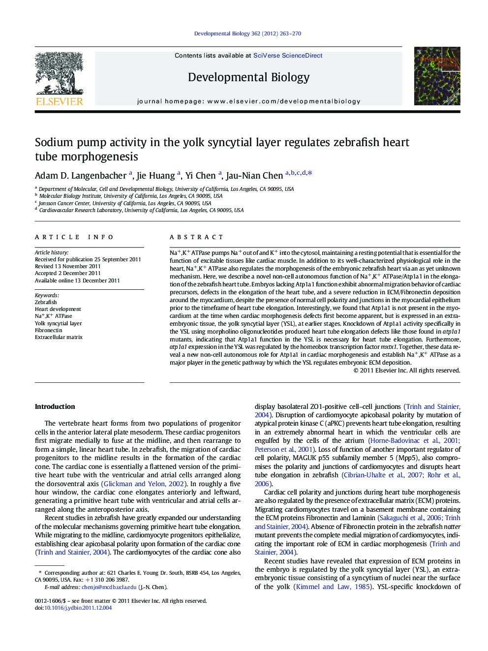 Sodium pump activity in the yolk syncytial layer regulates zebrafish heart tube morphogenesis