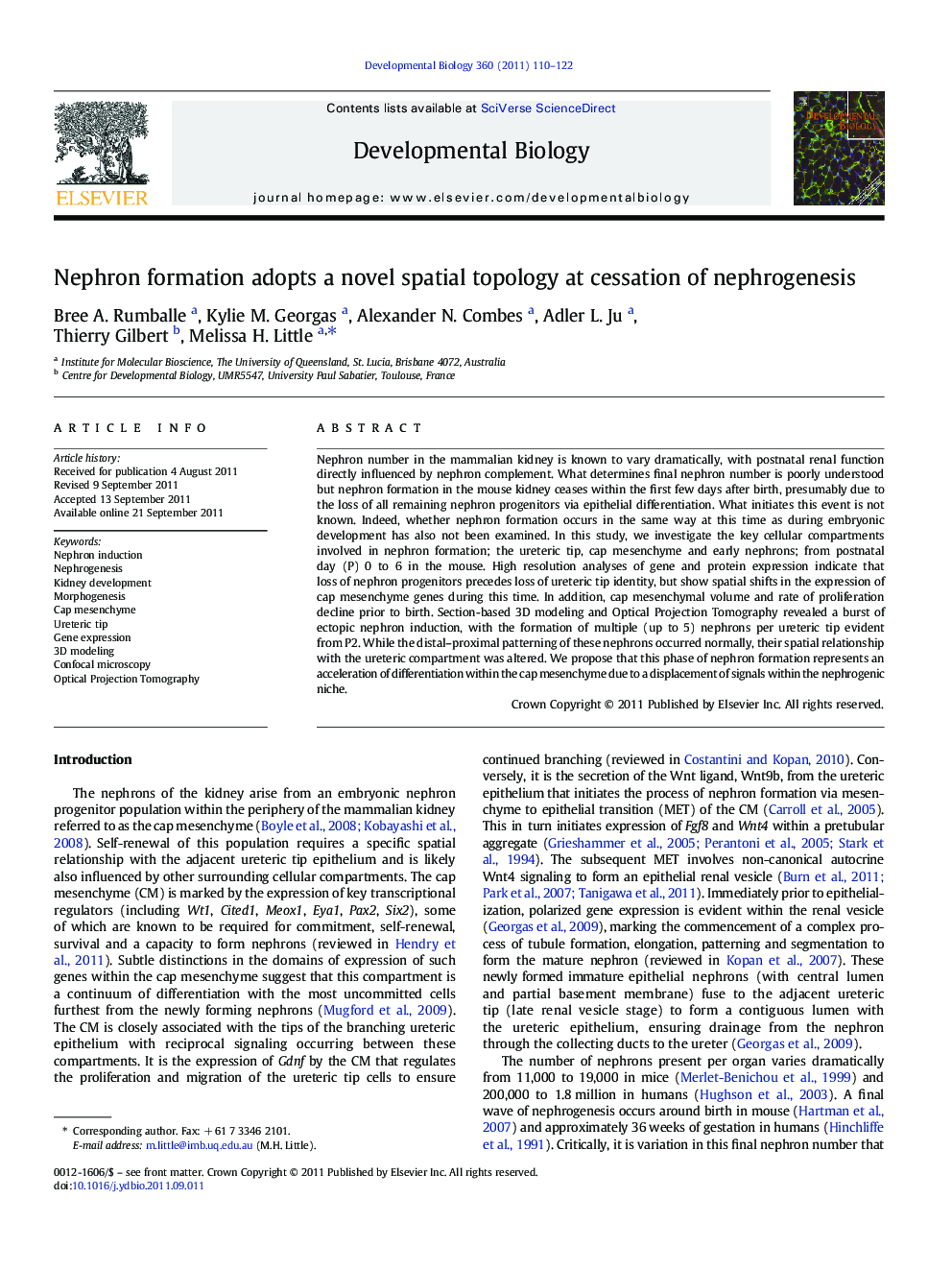 Nephron formation adopts a novel spatial topology at cessation of nephrogenesis