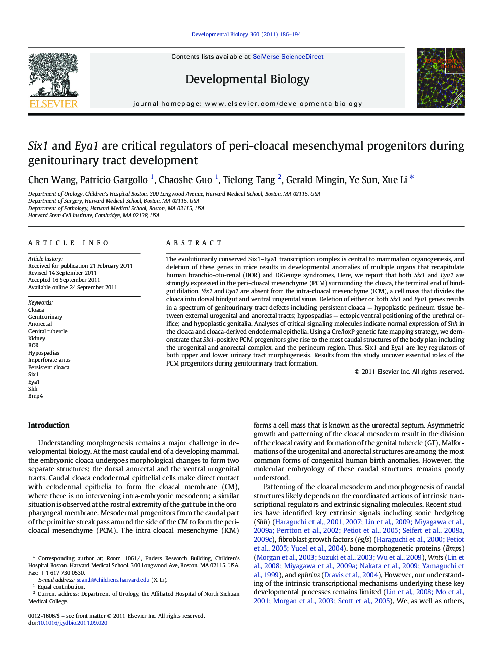 Six1 and Eya1 are critical regulators of peri-cloacal mesenchymal progenitors during genitourinary tract development