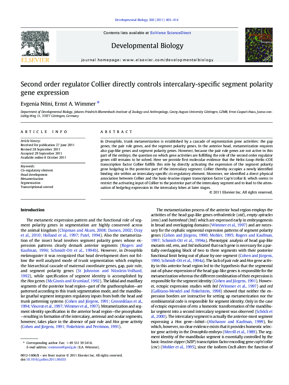 Second order regulator Collier directly controls intercalary-specific segment polarity gene expression