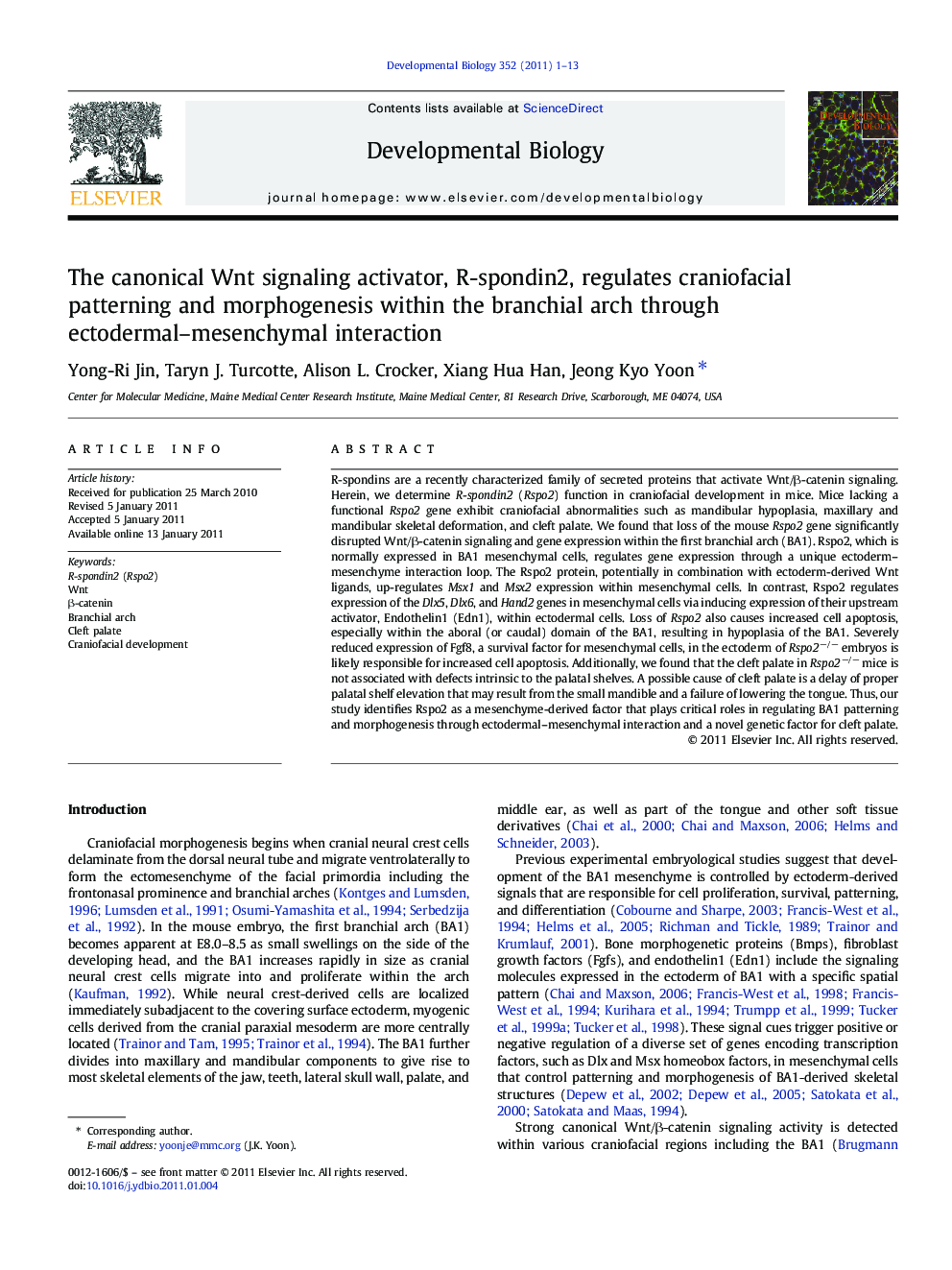 The canonical Wnt signaling activator, R-spondin2, regulates craniofacial patterning and morphogenesis within the branchial arch through ectodermal–mesenchymal interaction