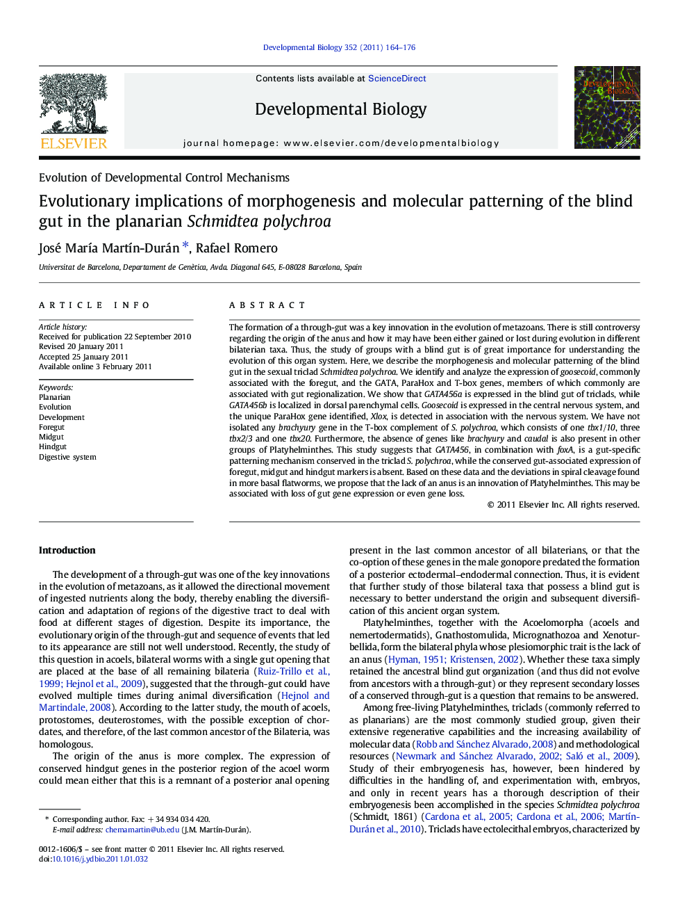 Evolutionary implications of morphogenesis and molecular patterning of the blind gut in the planarian Schmidtea polychroa